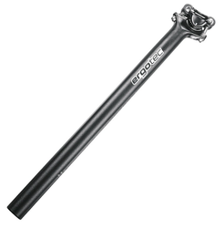 b7b811f2f640eca1e87cd5ac195edfec-184699-184699.JPG Patentsattelstütze Ergotec Skalar Ø31,6mm, 400mm, schwarz, Alu - Produktbild - 1