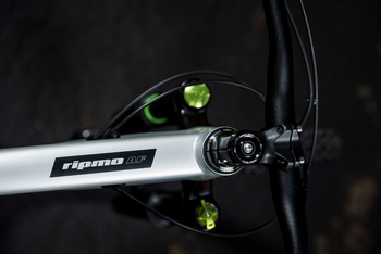 Ibis Ripmo AF Metal SLX Enduro 29 Zoll - Produktbild - 2