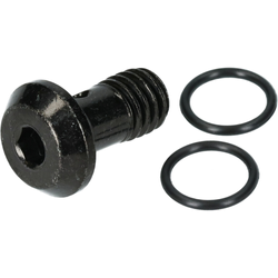 Y2RT98010-21073287-21073287.jpg SHIMANO Bremsleitungsschraube BR-M8100 inkl. Dichtring - Produktbild - 1