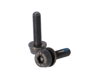 Schrauben Campagnolo H11 (Scheibenbr.) AC18-DBSC19,2x19mm f.10-14mm hinten - Produktbild - 1