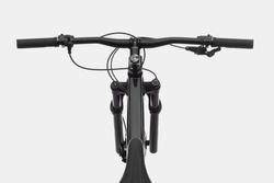 C21-C26351M-Trail-SL-3-BPL-D1-21133280-21133280.jpg Cannondale Trail SL 3 Black Pearl 29" Hardtail MTB - Produktbild - 3