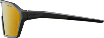 Sonnenbrille Alpina Ram Q-Lite Rahmen coffeegrey matt, Glas gold versp. - Produktbild - 2