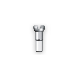 NIPPEL 2.0 MESSING SILBER, 100 STÜCK, L = 16,0MM / FELGE Ø = 3.5, SAPIM, GMPO1401600 V1--- - Produktbild - 1