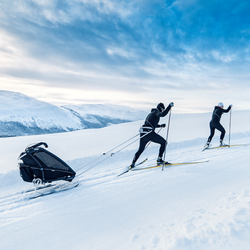 1381112-21257428-21257428.png Thule Chariot cross-country skiing kit Grau – Umrüst-Set - Produktbild - 4