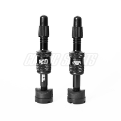 TR2UNA-108-01-21293659.jpg e*thirteen Quick Fill Tubeless Presta Ventile, 16-24mm Felgentiefe, 2 Stk., black - Produktbild - 1