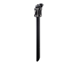 SP8A316---1-21296909-21296909.jpg Cane Creek eeSilk+ Sattelstütze, 31.6mm, 378mm, 12mm, 35mm, black - Produktbild - 1