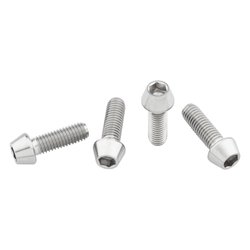 4TIWBBOLT-01-21327334.jpg Wolf Tooth Flaschenhalter-Titanschrauben, M5x15mm, 4 Stk., raw titanium - Produktbild - 1