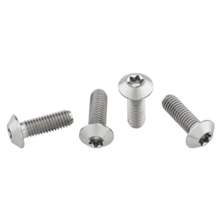 4TIWBBOLT-LP-01-21328533.jpg Wolf Tooth Flaschenhalter-Titanschrauben, M5x15mm, low profile, 4 Stk., raw titanium - Produktbild - 1