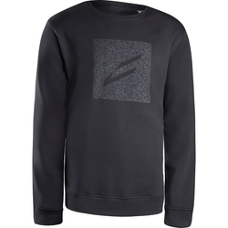 Sweater C-Graphic-Edition, CENTURION, Größe: XS, Farbe: grau, VE: 1 Stk. - Produktbild - 1