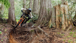 2-EQT-2148-Hillbilly-Carousel-2880x1620-21354899-21354899.jpeg Specialized Hillbilly Grid Trail T9 2Bliss Ready MTB-Reifen Black Gr. 29 x 2.4 - Produktbild - 4