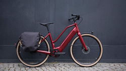 EB-20-HAEV-galerie-01-21367161-21367161.jpg Schindelhauer Hannah Granatrot – E-City-Bike - Produktbild - 10