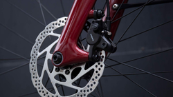 EB-20-HAEV-galerie-07-21367161-21367161.jpg Schindelhauer Hannah Granatrot – E-City-Bike - Produktbild - 5