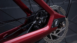 EB-20-HAEV-galerie-08-21367161-21367161.jpg Schindelhauer Hannah Granatrot – E-City-Bike - Produktbild - 4
