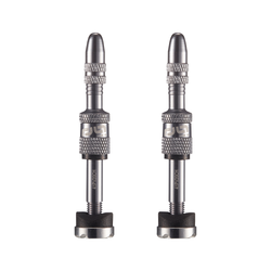 TR2UNA-140-01-21376359.jpg e*thirteen Quick Fill Tubeless Presta Ventile, 23-31mm Felgentiefe, 2 Stk., silver - Produktbild - 1