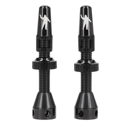 Michelin TUBELESS VENTIL 40mm (2 Stk.) - Produktbild - 1