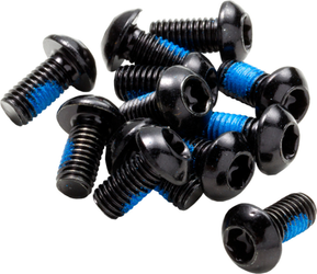 Bremsscheiben Schraubenset M5 x 10 mm Torx T25 Stahl schwarz 12 Stück - Produktbild - 1 Bremsscheiben Schraubenset M5 x 10 mm Torx T25 Stahl schwarz 12 Stück - Produktbild - 1