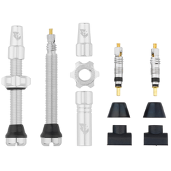 Wolf Tooth Tubeless Valve Stem Ventile, Presta, 44mm, 2 Stk., raw silver - Produktbild - 1