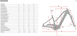 centurion-country-r3000i-t-grau-schwarz-komplett-21411179.png CENTURION Country R3000i T EP1 schiefer - Produktbild - 6