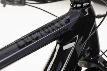 LECTOR FS ESSENTIAL Uni carbon/dark gray - glossy - Produktbild - 5