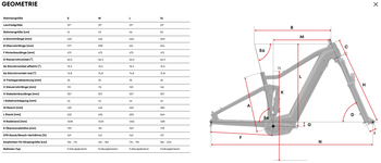 CENTURION Numinis R2600i EP2 torino gold - Produktbild - 6