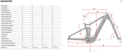 Bildschirmfoto-2025-11-30-um-13-57-46-21411771.png CENTURION Numinis R2600i EP2 torino gold - Produktbild - 6
