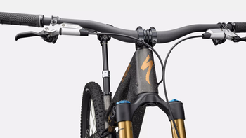 S-Works Stumpjumper 15 Satin Gunmetal / Clay / White Mtn / Dove Grey / Gloss Bronze - Produktbild - 4
