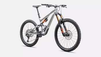 Stumpjumper 15 Fox Coil Alloy Satin Brushed Aluminum / Cast Blue - Produktbild - 2