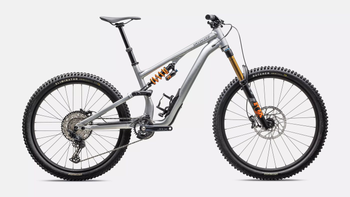 Stumpjumper 15 Fox Coil Alloy Satin Brushed Aluminum / Cast Blue - Produktbild - 1
