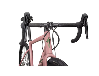Specialized DIVERGE E5 ELITE DUSKY PINK/CYPRESS METALLIC - Produktbild - 5