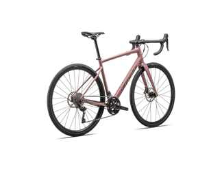 Specialized DIVERGE E5 ELITE DUSKY PINK/CYPRESS METALLIC - Produktbild - 3