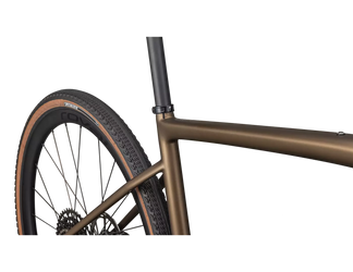 Specialized DIVERGE EXPERT CARBON BNTGLDMET/BLKLQDMET - Produktbild - 6