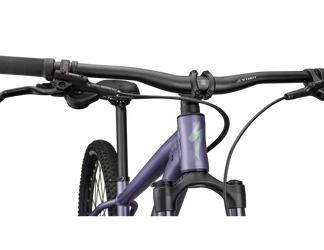 Specialized Rockhopper Comp 29 Hardtail MTB Mauve Metallic / Fjord Metallic - Produktbild - 5