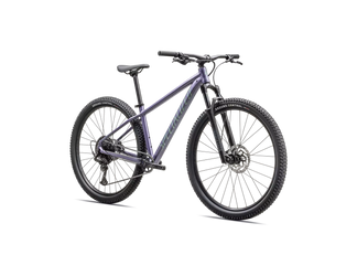 Specialized Rockhopper Comp 29 Hardtail MTB Mauve Metallic / Fjord Metallic - Produktbild - 2