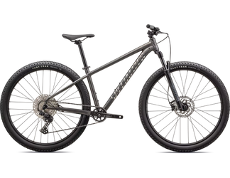 Specialized ROCKHOPPER EXPERT SMOKE/CHROME - Produktbild - 1