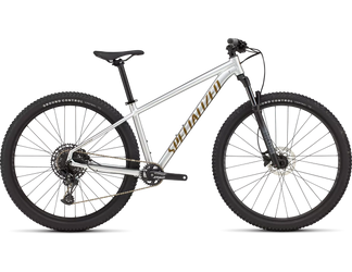 Specialized Rockhopper Expert SRAM NX Eagle 1x12 Silver Dust / Burnt Gold - Produktbild - 1