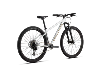 Specialized Rockhopper Expert SRAM NX Eagle 1x12 Silver Dust / Burnt Gold - Produktbild - 3