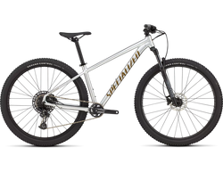 91825-31-ROCKHOPPER-EXPERT-GLOSS-SILVER-DUST---SATIN-BURNT-GOLD-METALLIC-HERO-21413811-21413811.png Specialized Rockhopper Expert SRAM NX Eagle 1x12 Silver Dust / Burnt Gold - Produktbild - 1