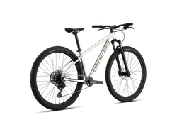 91825-31-ROCKHOPPER-EXPERT-GLOSS-SILVER-DUST---SATIN-BURNT-GOLD-METALLIC-RDSQ-21413811-21413811.png Specialized Rockhopper Expert SRAM NX Eagle 1x12 Silver Dust / Burnt Gold - Produktbild - 3
