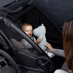1465569-21414733.png Thule Chariot Sport 2 Schwarz – Fahrradanhänger für zwei Kinder - Produktbild - 10