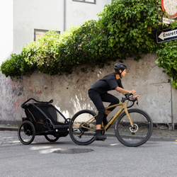 1465566-21414734.png Thule Chariot Sport 2 Natural Gold – Fahrradanhänger für zwei Kinder - Produktbild - 7