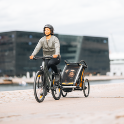 1614094-21414734.png Thule Chariot Sport 2 Natural Gold – Fahrradanhänger für zwei Kinder - Produktbild - 11