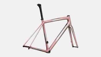 Specialized AETHOS Frameset FLKSIL/DSKPNK/DUNEWHT - Produktbild - 3