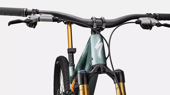 S-Works Stumpjumper 15 LTD FJDMET/DLMMET - Produktbild - 5