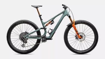 S-Works Stumpjumper 15 LTD FJDMET/DLMMET - Produktbild - 1
