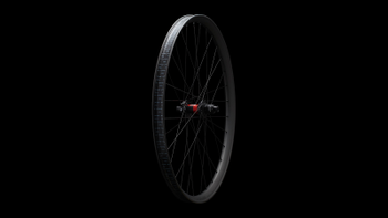 Specialized Roval Traverse HD 240 DEG Laufrad Carbon / Black Gr. 29 Front 28H - Produktbild - 8