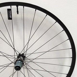 Specialized WHL MY15 CONTROL, 29, REAR, ALLOY, QUICK-RELEASE, 9X135MM, DISC, 6-BOLT, 32H, SHIMANO HG 10-SPD. FHB - BLACK / CHARCOAL DCL - Produktbild - 1
