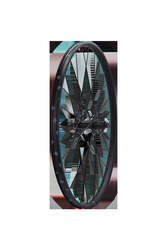 Specialized WHL OE XC, 29"; REAR, ALLOY, TA, 12X148MM, DISC, 6-BOLT, 28H, SHIMANO 10-SPD HG FHB - BLACK 29" - Produktbild - 2