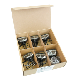 Busch & Müller Dynamo-Scheinwerfer LUMOTEC DOPP N (Werkstattpack 6 Stk) schwarz - Produktbild - 1