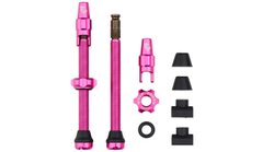 TLV-CLIK60-PNK-01-21428024-21428024.jpg Wolf Tooth Tubeless Valve Stem Ventile, Clik Valve, 60mm, 2 Stk., pink - Produktbild - 1