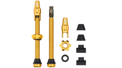 TLV-CLIK60-GLD-01-21430071.jpg Wolf Tooth Tubeless Valve Stem Ventile, Clik Valve, 60mm, 2 Stk., gold - Produktbild - 1